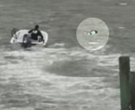 From Turmoil to Triumph: Jersey Shore Hero Braves the Storm to Save Woman and Dogs from Capsized Kayak