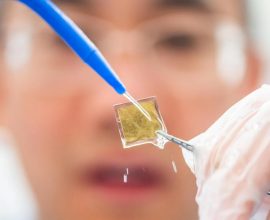 Harnessing the Sun: Revolutionary Catalyst Boosts Green Hydrogen Production by 800%, Paving the Way for a Sustainable Future