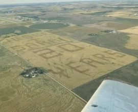 Harvesting Love: Farmer Sows a One-Mile Tribute in the Fields for His Beloved Wife of 20 Years