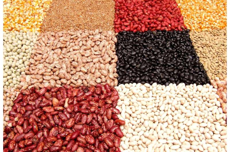 Credit: Pixabay/CC0 Public Domain dry beans