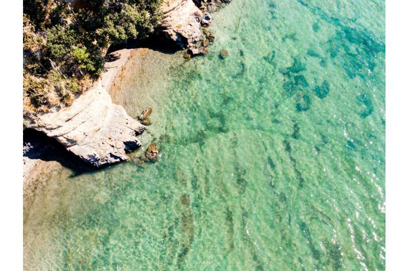 Credit: Unsplash/CC0 Public Domain New Zealand shoreline