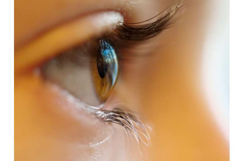 Credit: Unsplash/CC0 Public Domain contact lens