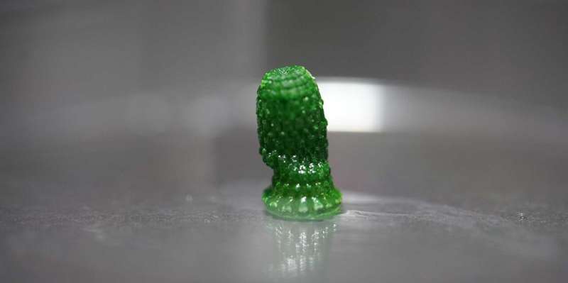 3D-printed 'pineapple' with living cyanobacteria