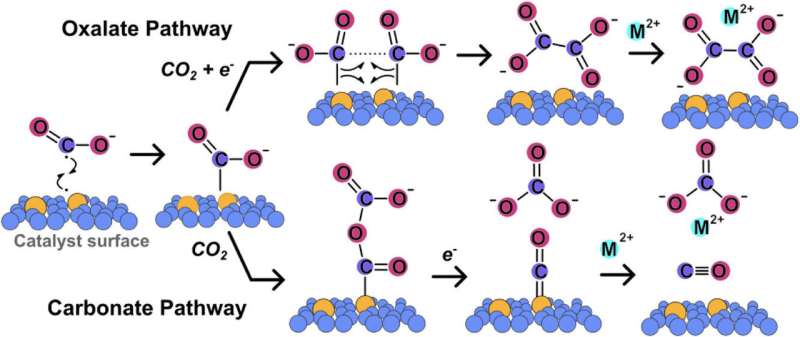 Proposed mechanisms for the reduction of CO2 to oxalate and carbonate in nonaqueous aprotic solvents. Credit: Advanced Energy Materials (2025). DOI: 10.1002/aenm.202501286 Carbon capture method mines cement ingredients from the air
