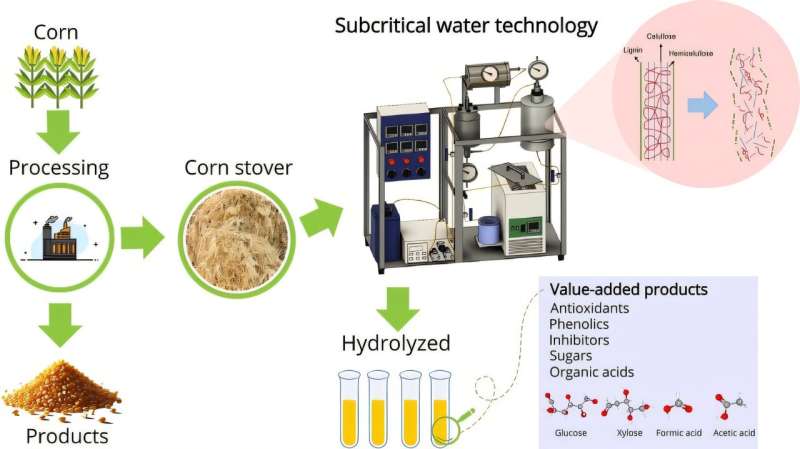 Graphical Abstract Credit: Biofuel Research Journal (2025). DOI: 10.18331/BRJ2025.12.1.2 Green technology utilizes corn stover to create valuable bioderivatives