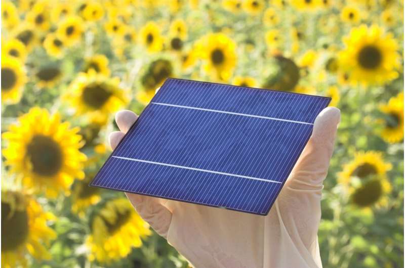 Credit: Pixabay/CC0 Public Domain perovskite solar cells