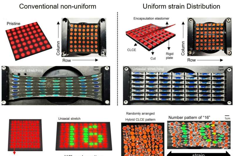 Visualization of encrypted numeric patterns enabled by uniform strain distribution and polarization filtering. Credit: POSTECH POSTECH addresses key issue in stretchable displays with consistent multi-pixel strain control