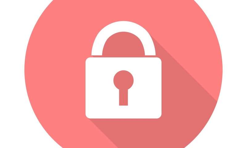 Credit: CC0 Public Domain security key