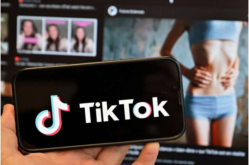 TikTok faces a ban in the United States unless it finds a new non-Chinese owner. TikTok faces a ban in the United States unless it finds a new non-Chinese owner