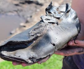 Unearthing History: 2,000-Year-Old Roman Soldier's Leather Shoe Reveals the Untold Story of Courage and Struggle