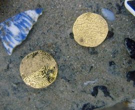 After 300 Years Beneath the Waves: The Heart-Stopping Discovery of a Pirate's Lost Treasure Ship off Madagascar's Enigmatic Shores