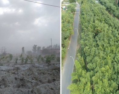 From Ashes to Abundance: How New Bamboo Plantations Are Reviving Indian Villages Burdened by Coal Pollution