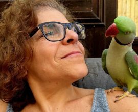 Against All Odds: Family Reunites with Their Stolen Parakeet After Heartwarming 100-Mile Journey