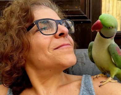 Against All Odds: Family Reunites with Their Stolen Parakeet After Heartwarming 100-Mile Journey