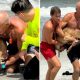 Against the Tide Florida Lifeguards Become Heroes Rescuing Stranded Deer 80x80