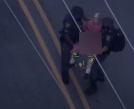 Bravery in the Skies: Michigan State Police Pilot’s Heartwarming Rescue of 83-Year-Old Lost in the Swamp