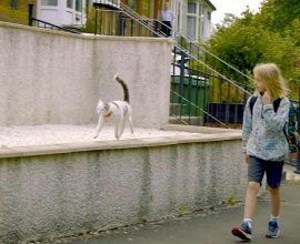 Feline Friendship: How a Loyal Cat Walks a Boy to School and Unites a Scottish Community – Vote for Our Everyday Hero at the UK National Cat Awards!