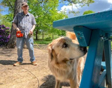 Four-Legged Heroes: How Canine Detectives Are Battling the Spotted Lanternfly to Protect Our Crops
