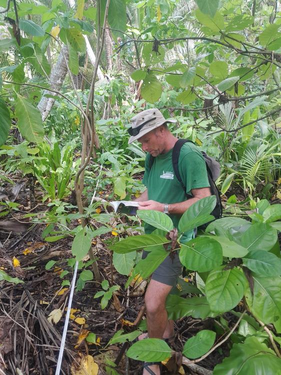 Richard Griffiths on Teafuatule, Nukufetau