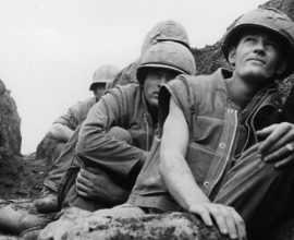 From War to Whimsy: How a Marine's Carousel Dream Became a Beacon of Hope for Healing from PTSD