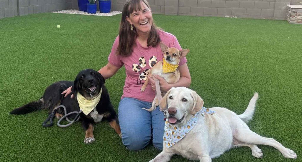 Second Chances: $1.5 Million in Grants Revitalize Lives of Senior Dogs, Opening Doors to New Beginnings
