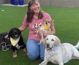 Second Chances: $1.5 Million in Grants Revitalize Lives of Senior Dogs, Opening Doors to New Beginnings