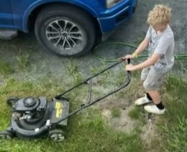 Ten-Year-Old's Heartfelt Summer Mission: Mowing Lawns to Heal His Family's Home After Wildfire Devastation