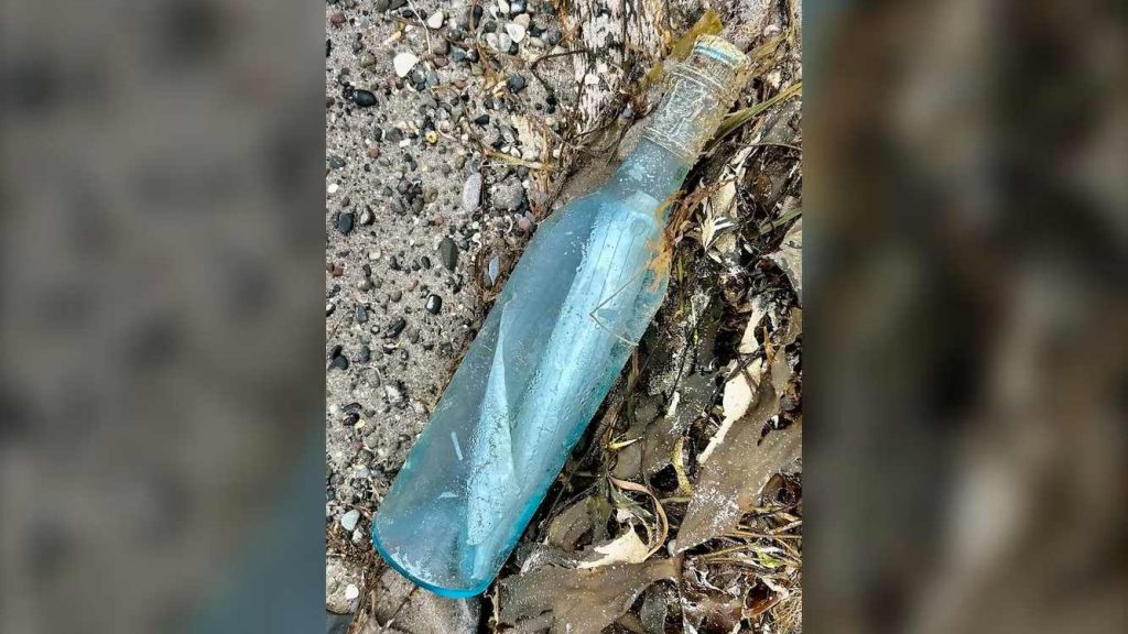 Timeless Love: Newfoundland Couple's Message in a Bottle Bridges the Atlantic, Uniting Hearts After 13 Years