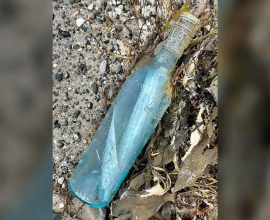 Timeless Love: Newfoundland Couple's Message in a Bottle Bridges the Atlantic, Uniting Hearts After 13 Years