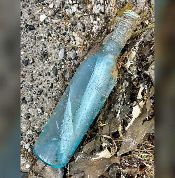 Timeless Love: Newfoundland Couple's Message in a Bottle Bridges the Atlantic, Uniting Hearts After 13 Years