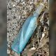 Timeless Love: Newfoundland Couple's Message in a Bottle Bridges the Atlantic, Uniting Hearts After 13 Years