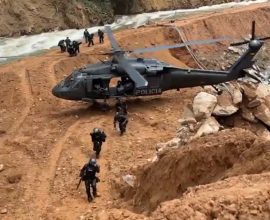 United Against Exploitation: Five Nations Unite to Rescue the Amazon, Seizing $64 Million in Trafficked Treasures