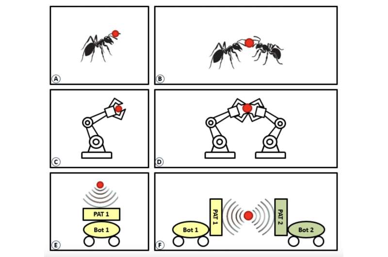 A new system that allows acoustic robots to co-operatively transport objects