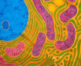 Unlocking Nature's Energy: How Cell Powerhouses Can Transform Healing and Revitalize Lives