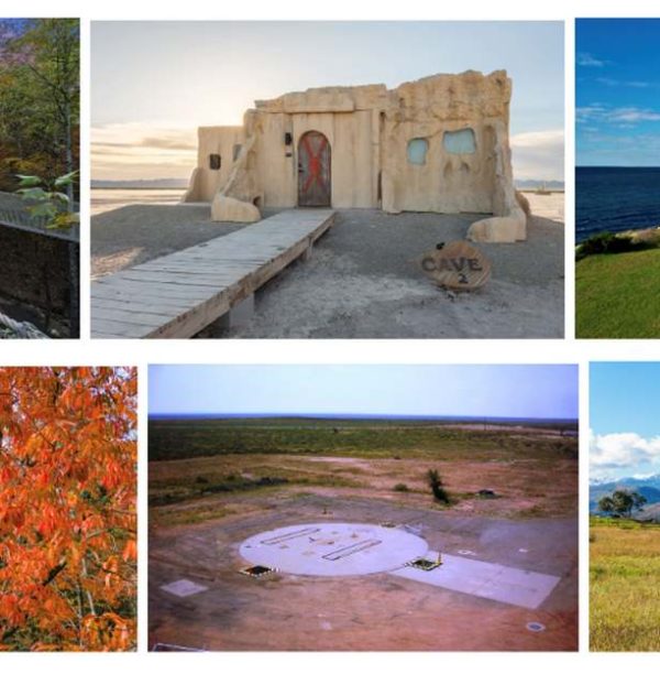 From Views to Victory: YouTuber's Epic 50-State Journey Raises $10M for St. Jude's in a Heartfelt Mission