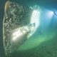 Echoes of the Deep: Divers Uncover the Lost Legacy of a WW1 Submarine 100 Years After Its Final Descent