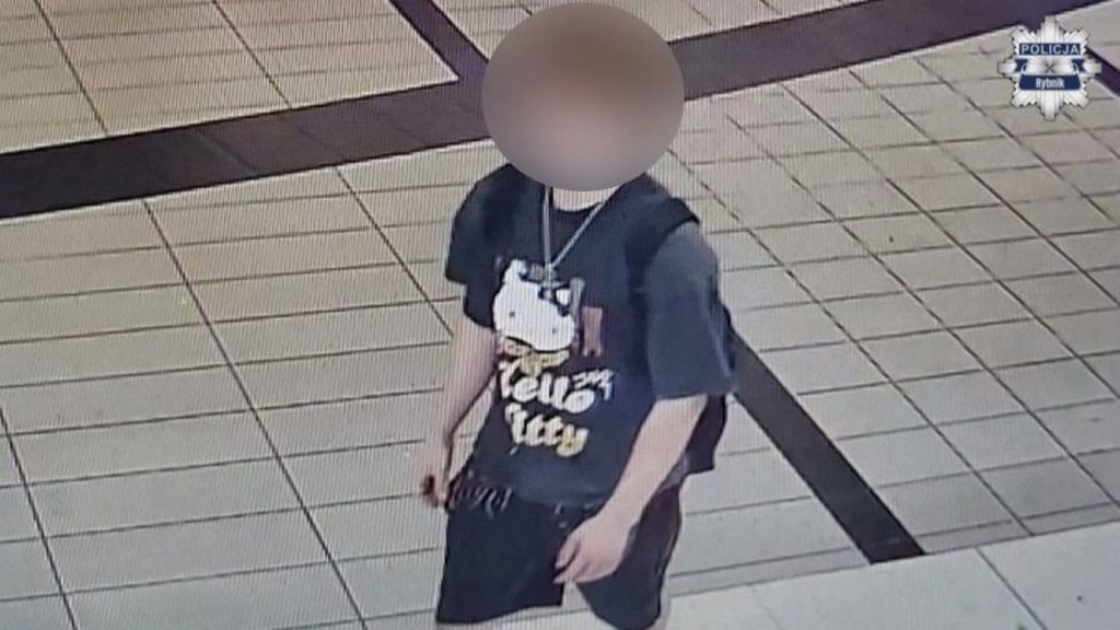 Brave Young Soul: Polish Officers Seek Hero Teen Who Defied Danger to Save a Life at the Bus Stop