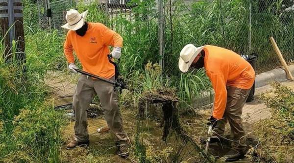 Brotherly Love in Houston: Siblings Turn Days Off into a Mission of Kindness for Strangers