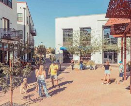 Escape the Heat: Discover Arizona's Hidden Gem Transformed Into a Mediterranean Oasis for Year-Round Wandering