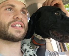 Heroic Bond: Injured Hiker's Loyal Dog Leads Him to Safety in Utah's Rugged Mountains