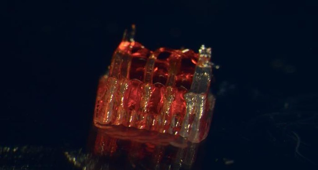 Hope Rekindled: Revolutionary 3D-Printed Scaffolding Paves the Way for Spinal Cord Repair, Sparking New Life in Injured Nerves