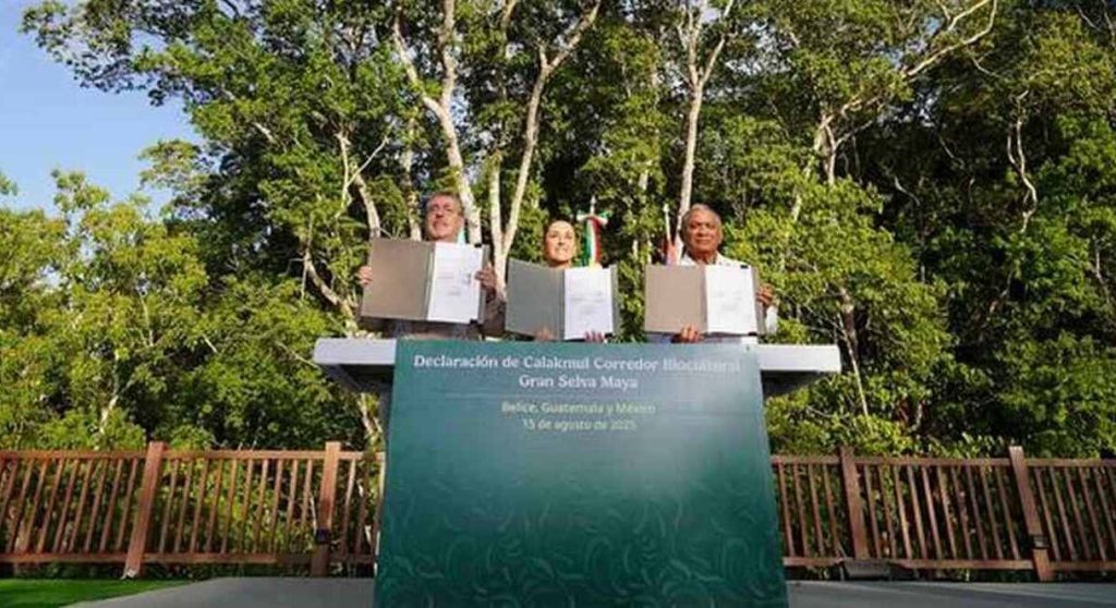 Latin America Unites to Safeguard the 'Great Mayan Reserve': A Heartfelt Commitment to Protect Our Planet’s Second-Largest Rainforest