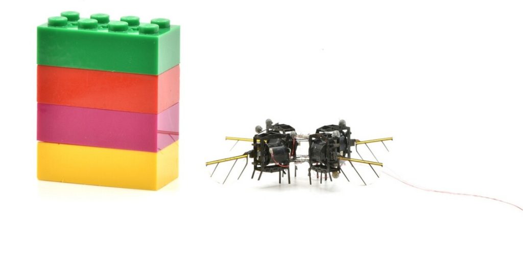 MIT Unveils Robotic Guardian: A High-Tech Lifeline for Our Fading Bee Populations