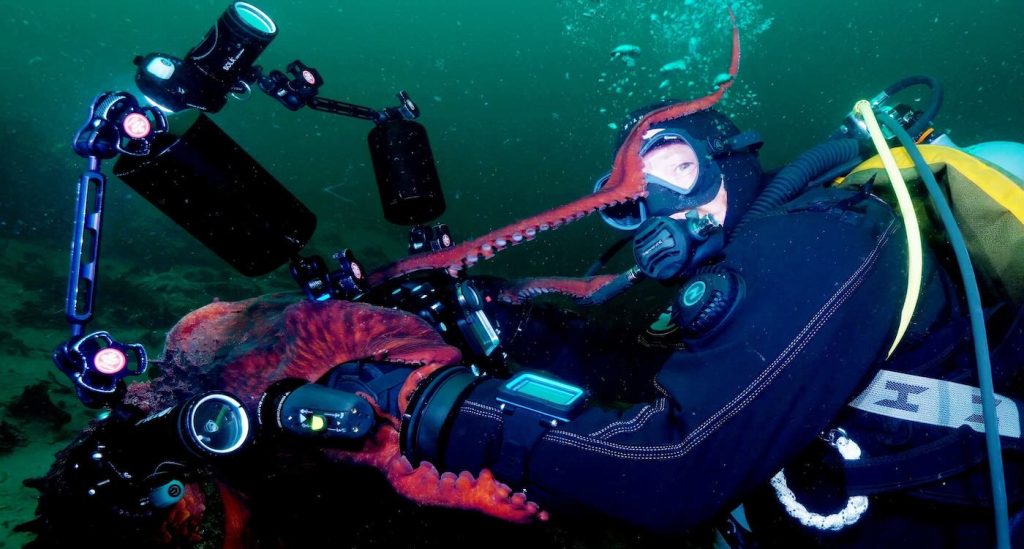 Meet the Underwater Selfie Star: An Octopus Captures a Dive into Connection