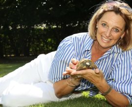 Slow and Steady: The Incredible Month-Long Adventure of the Runaway Tortoise Who Traveled 3 Miles at a Snail's Pace