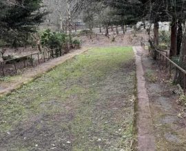 Unearthing Memories: How Glasgow's First Skatepark Is Set to Roll Again with the Help of Its Original Riders