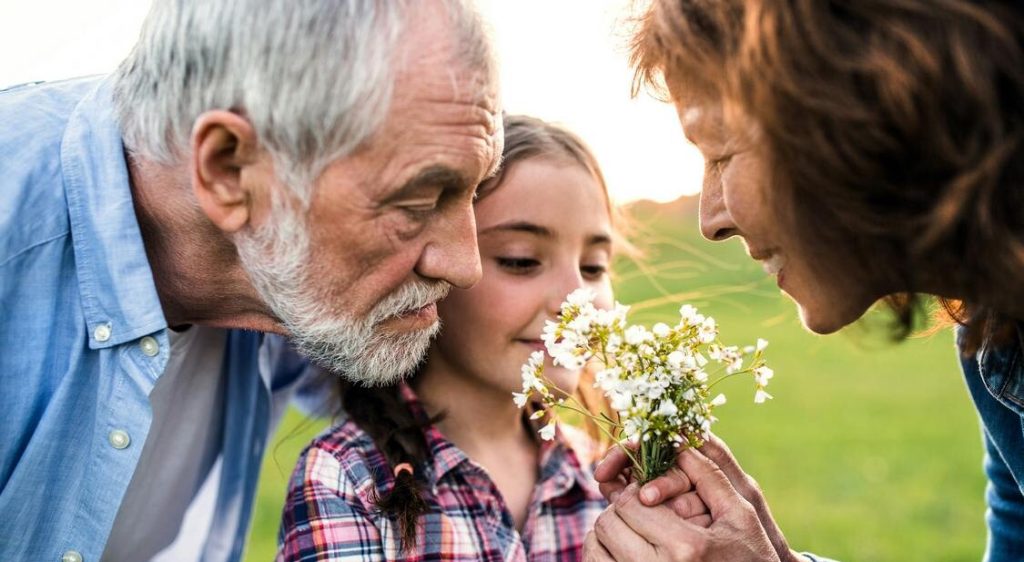 Unlocking the Future: Radio Waves Offer Hope to Restore the Lost Joy of Smell
