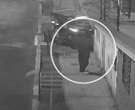 Brave Canine Defies Danger, Foils Home Attack by Courageously Neutralizing Dynamite to Save Family