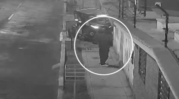 Brave Canine Defies Danger, Foils Home Attack by Courageously Neutralizing Dynamite to Save Family