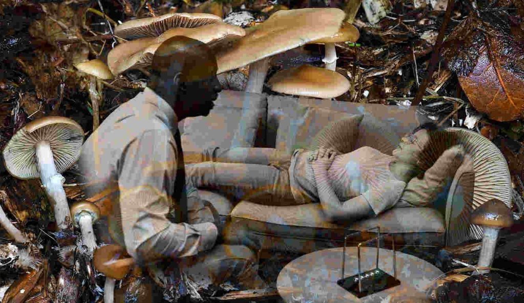 Five Years Later: The Lasting Light of Psychedelic Mushrooms in Healing Depression